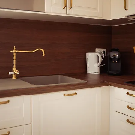 Disneyland Magic Apartment *